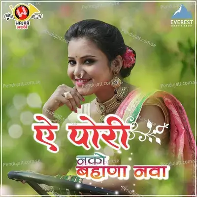 Nako Bahana Nava - Anand Shinde album cover 