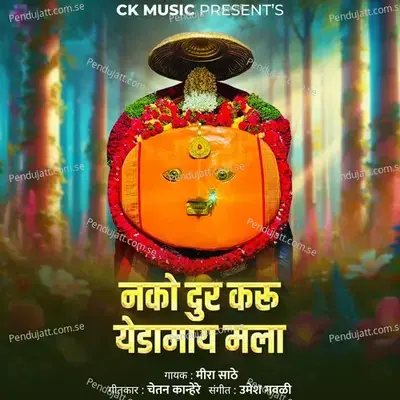 Nako Dur Karu Yedamay Mala - Mira Sathe album cover 