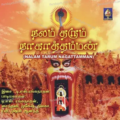 Senji Paanampaakkam - Ravi album cover 