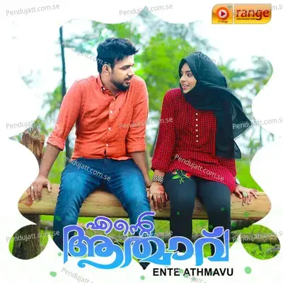 Nale Ninte - Saleem Kodathoor album cover 