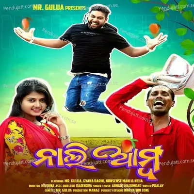 Nali Amba - Abhijit Majumdar album cover 