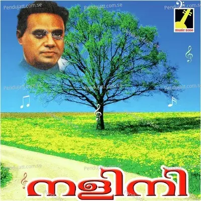 Nalla Hymavatha - Kureepuzha Sreekumar album cover 