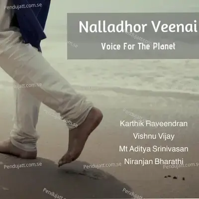 Nalladhor Veenai  Voice For The Planet - Karthik Raveendran album cover 