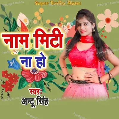 Nam Miti Na Ho - Antu Singh album cover 