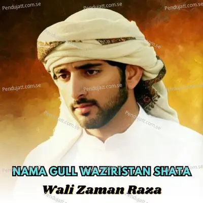 Pa Nazar Washa - Wali Zaman Raza album cover 