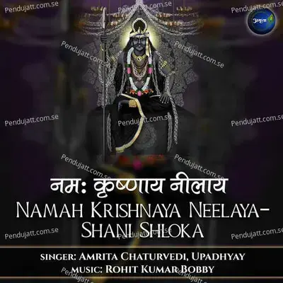 Namah Krishnaya Neelaya-Shani Shloka - Amrita Chaturvedi album cover 