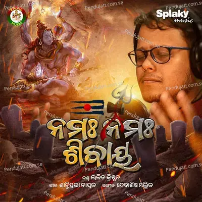 Namah Namah Shivaya - Lalit Krishnan album cover 