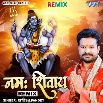 Namah Shivay - Remix - Ritesh Pandey album cover 