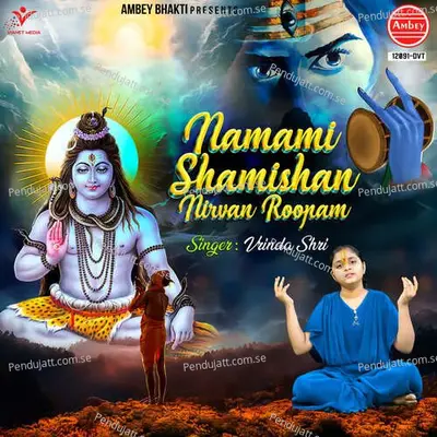 Namami Shamishan Nirvan Roopam - Vrinda Shri album cover 