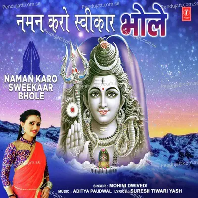 Naman Karo Sweekaar Bhole - Mohini Dwivedi album cover 