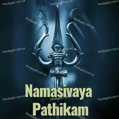 Namasivaya Pathikam - Veeramani Kannan album cover 