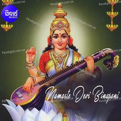 Namaste Devi Binapani - Namita Agrawal album cover 