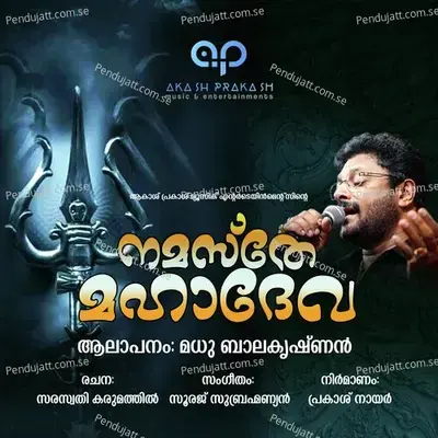 Namaste Mahadeva - Madhu Balakrishnan album cover 