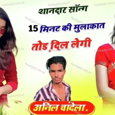 Nambar Das Ka Not - Anil Chandela album cover 
