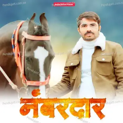 Nambardar - Amit Baisla album cover 