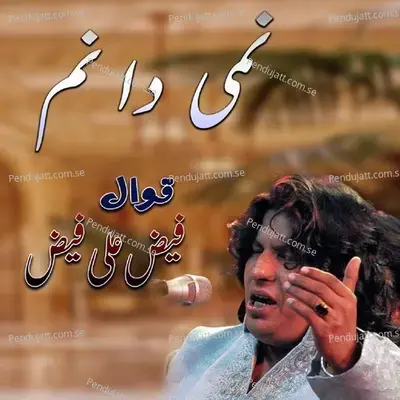 Nami Da Nam - Faiz Ali Faiz album cover 