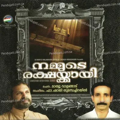 Aaruvilichalum Fm - Elizabeth Raju album cover 