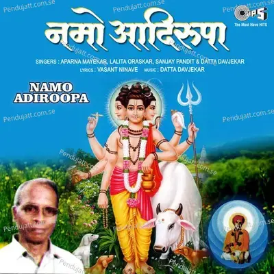 Aanandai Anand Jhala - Aparna Mayekar album cover 