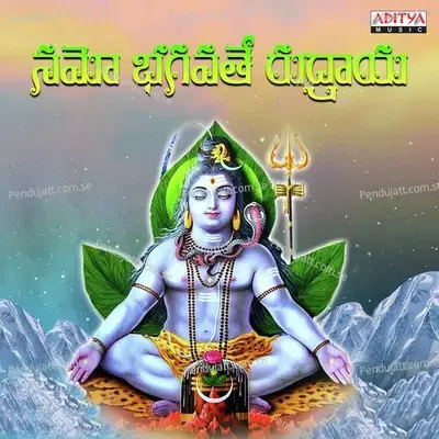 Nalona Sividu Galadu - Tanikella Bharani album cover 