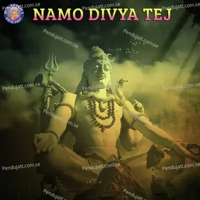 Namo Divya Tej - Various Artists cover album