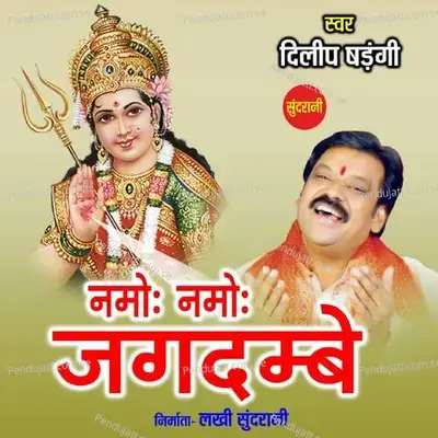 Namo Namo Jagdambe - Dilip Shadangi album cover 