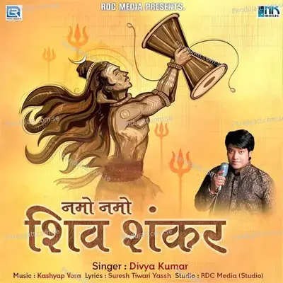 Namo Namo Shiv Shankar - Divya Kumar album cover 