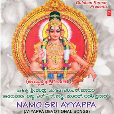 Bhasmaabhisheka - Vishanu album cover 