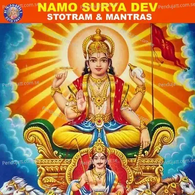 Namo Surya Dev - Stotram & Mantras - Various Artists