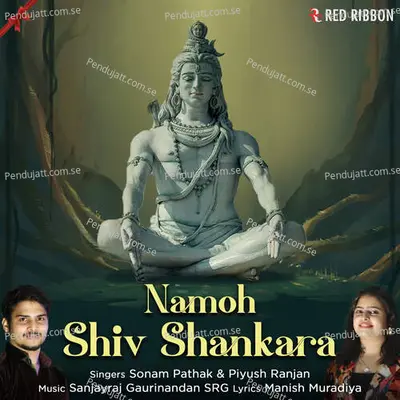 Namoh Shiv Shankara - Sonam Pathak album cover 