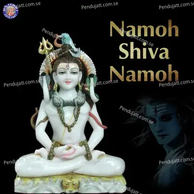 Namoh Shiva Namoh - Various Artists cover album