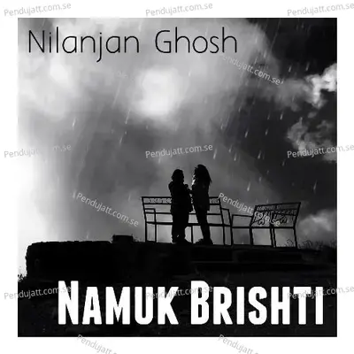 Namuk Brishti - Nilanjan Ghosh album cover 