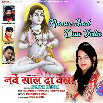 Namve Saal Daa Vella - Bandna Dhiman album cover 