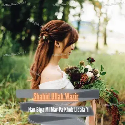 Nan Biga Mi Mar Pa Khob Lidala Yi - Shahid Ullah Wazir cover album