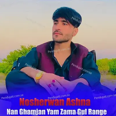 Nan Ghamjan Yam Zama Gul Range - Nosherwan Ashna cover album