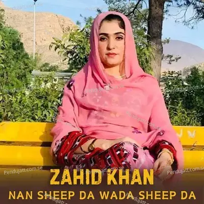 Nan Sheep Da Wada Sheep Da - Zahid Khan album cover 