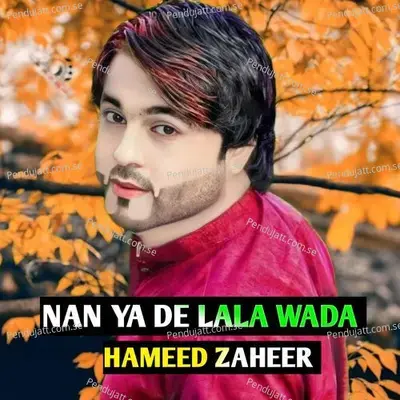 Nan Ya De Lala Wada - Hameed Zaheer album cover 