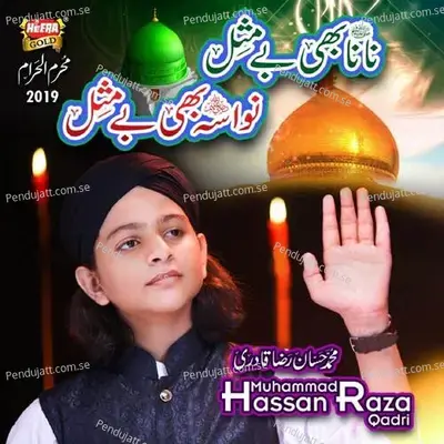Nana Bhi Bemisaal Nawasa Bhi Bemisaal - Muhammad Hassan Raza Qadri album cover 