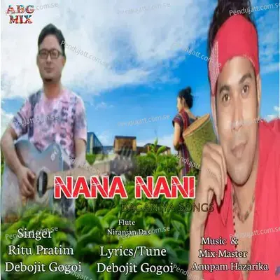 Nana Nani - Ritu Pratim album cover 