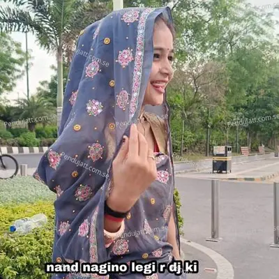 Nand Nagino Legi R Dj Ki - Dilkhush Gehupura album cover 