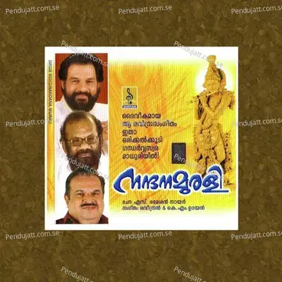 Guruvayoorappa - Hema album cover 