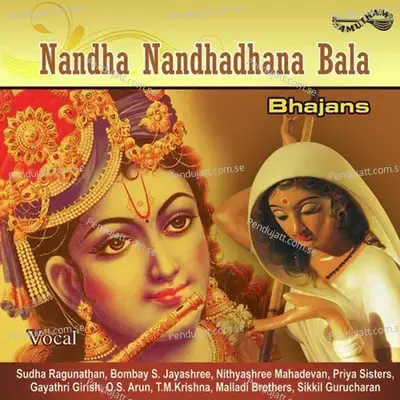 Ram Ram Ram Bhajo - Malladi Brothers album cover 