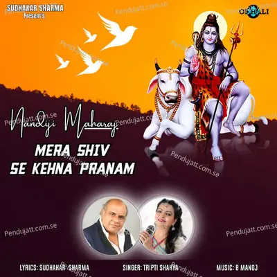 Nandiji Maharaj Mera Shiv Se Kehna Pranam - Tripti Shakya album cover 