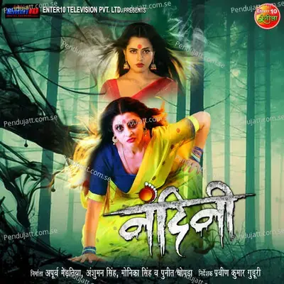 Kareja Me Sama Gaila - Priyanka Singh album cover 