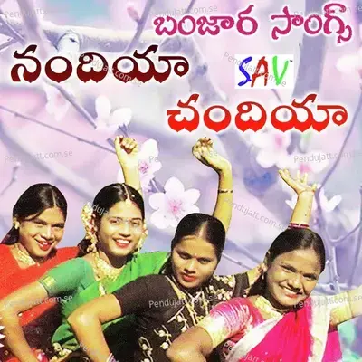 Nandiya Chandiya - Sidhu album cover 