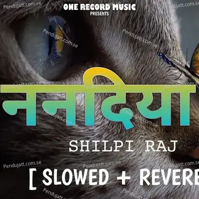 Nandiya Re Slowed And Reverb - Shilpi Raj album cover 