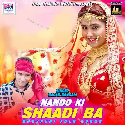 Nando Ke Sadi Ba Sari Dila Di - Sagar Sangam album cover 