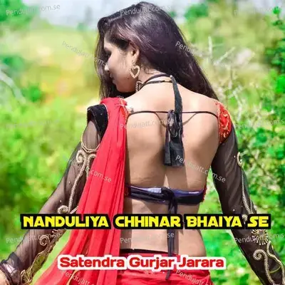 Nanduliya Chhinar Bhaiya Se - Satendra Gurjar Jarara