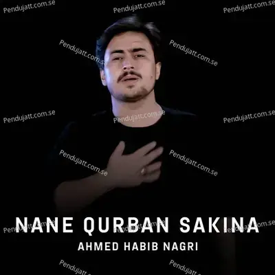 Nane Qurban Sakina - Ahmed Habib Nagri album cover 