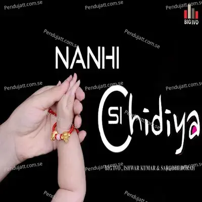 Nanhi Si Chidiya - Big Ivo album cover 