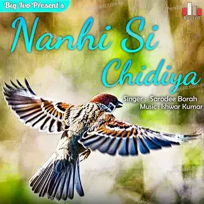 Nanhi Si Chidiya - Sarodee Borah album cover 